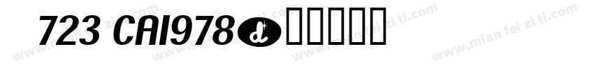    723 CA1978字体转换